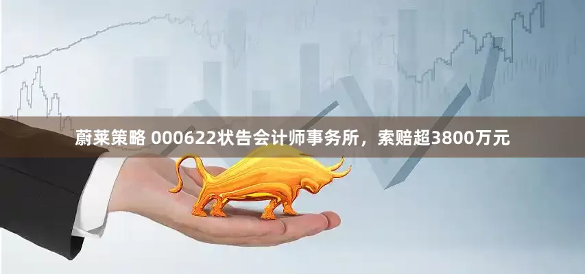 蔚莱策略 000622状告会计师事务所，索赔超3800万元