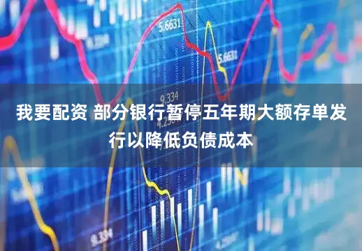 我要配资 部分银行暂停五年期大额存单发行以降低负债成本