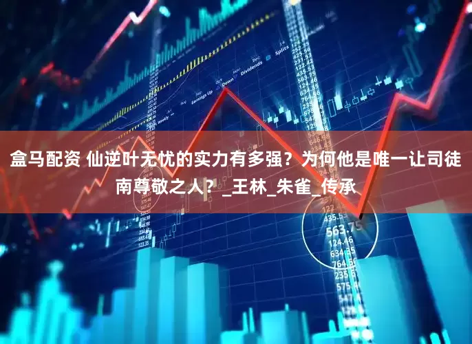 盒马配资 仙逆叶无忧的实力有多强？为何他是唯一让司徒南尊敬之人？_王林_朱雀_传承